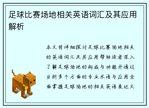 足球比赛场地相关英语词汇及其应用解析