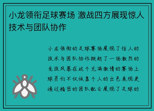 小龙领衔足球赛场 激战四方展现惊人技术与团队协作