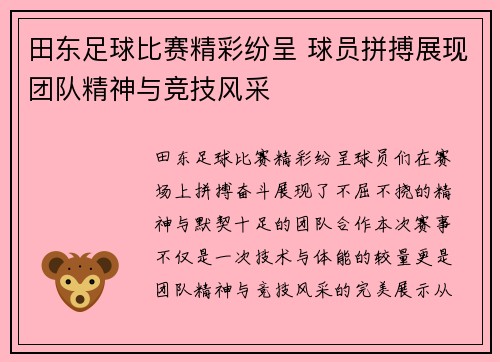 田东足球比赛精彩纷呈 球员拼搏展现团队精神与竞技风采