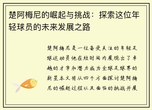 楚阿梅尼的崛起与挑战：探索这位年轻球员的未来发展之路