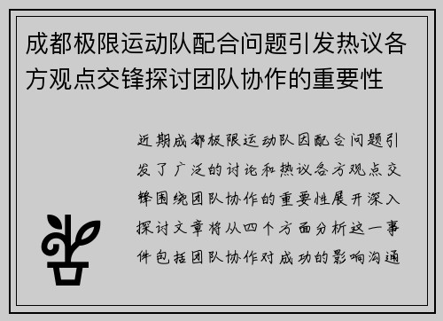 成都极限运动队配合问题引发热议各方观点交锋探讨团队协作的重要性